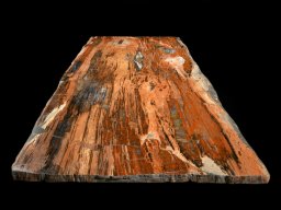 Designation of slabs 1 A Petrified Gem-Grade Rainbow table.